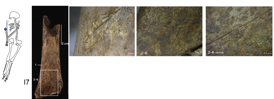 /Users/alfredo/Dropbox/ALFREDO_SOLO/56 ICA Contribuciones/JMT_Violencia_ritual_en_El_Ca.fld/image011.png