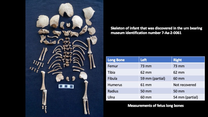 Diapositiva1