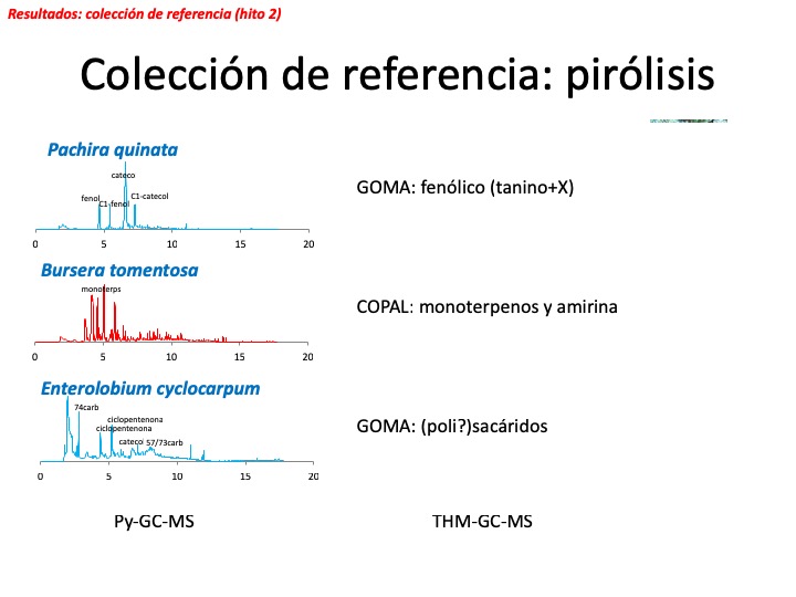 Diapositiva1