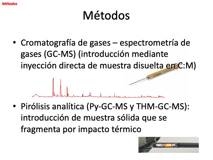 Diapositiva1