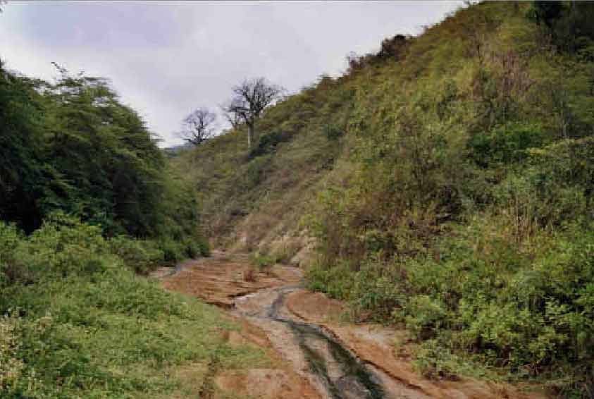 Abrir en nueva ventana