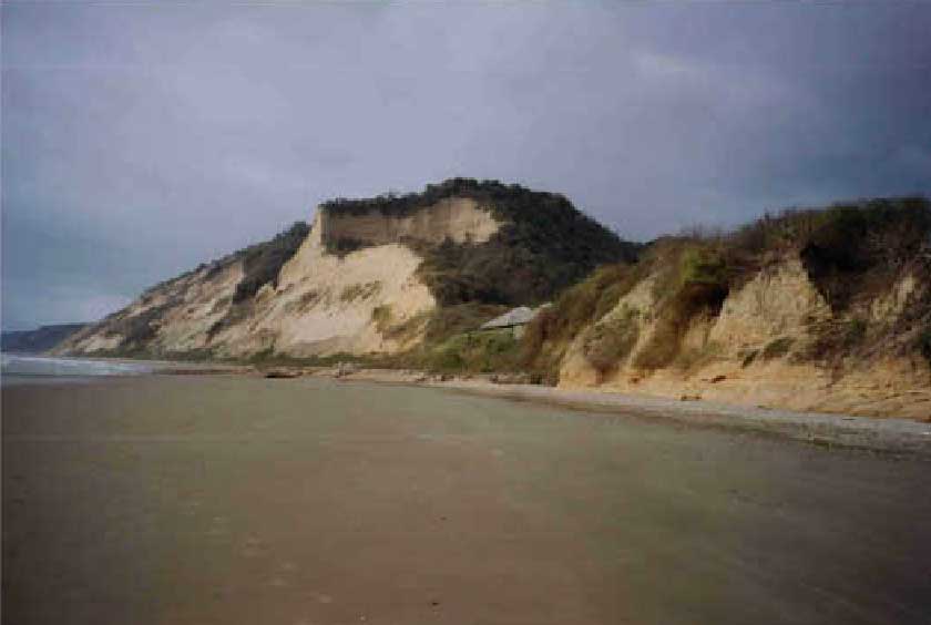 Abrir en nueva ventana