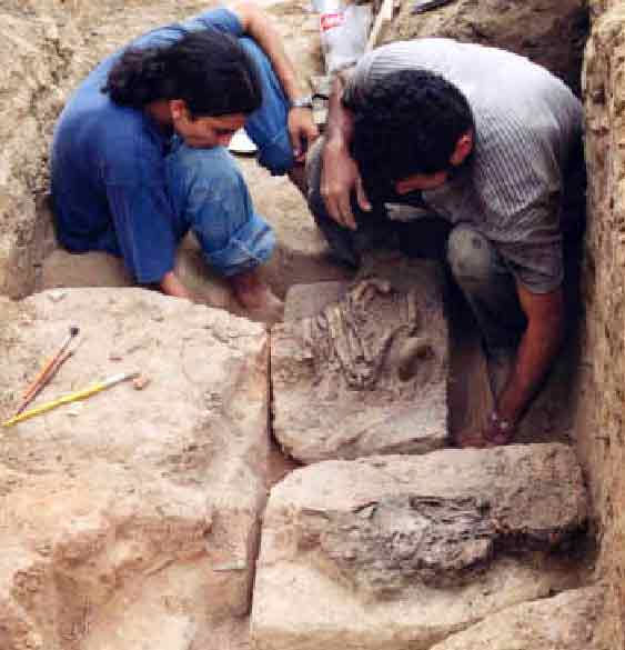 Abrir en nueva ventana