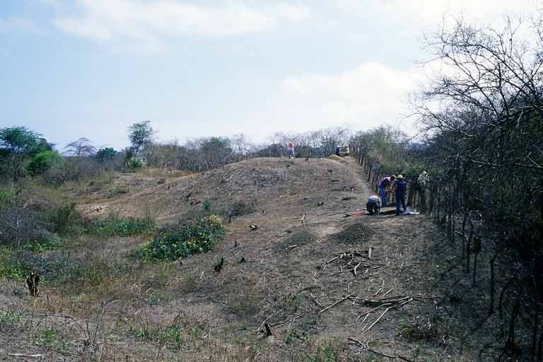 Abrir en nueva ventana