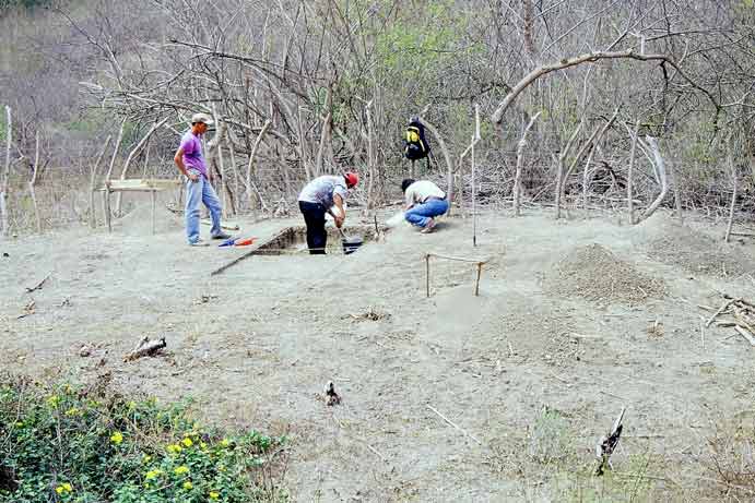 Abrir en nueva ventana