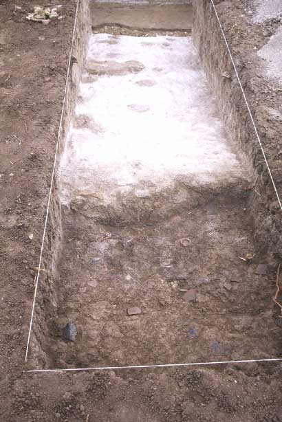 Abrir en nueva ventana