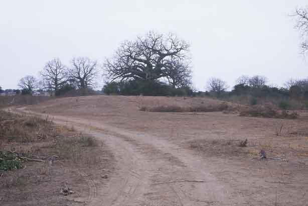 Abrir en nueva ventana