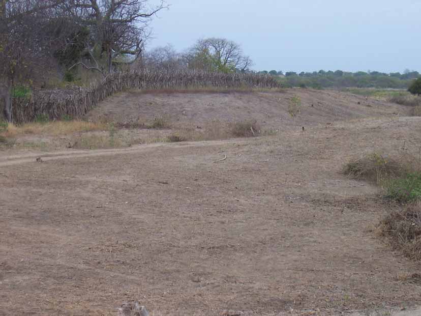 Abrir en nueva ventana