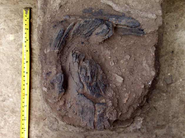 Abrir en nueva ventana