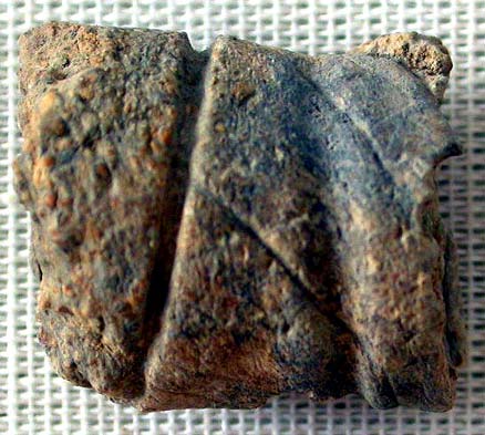 Abrir en nueva ventana