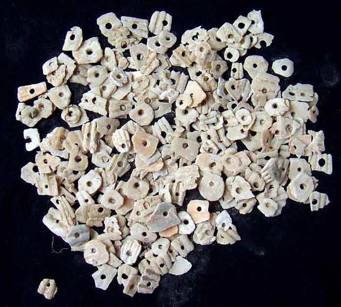 Abrir en nueva ventana