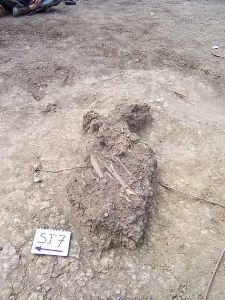 Abrir en nueva ventana