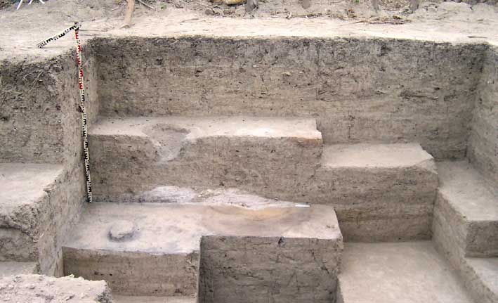 Abrir en nueva ventana