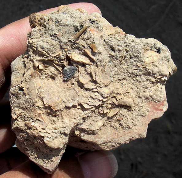 Abrir en nueva ventana