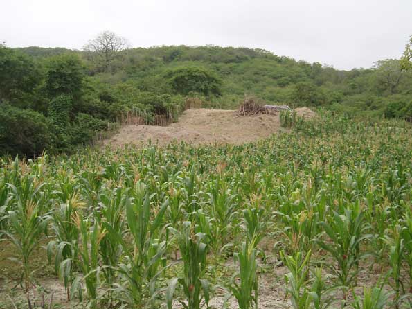 Abrir en nueva ventana