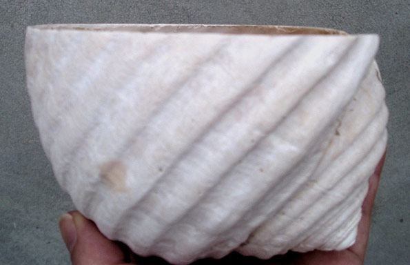 Abrir en nueva ventana