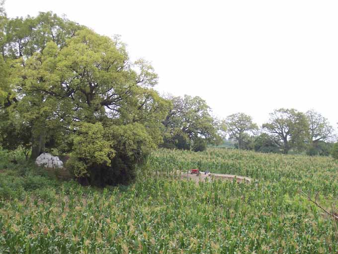 Abrir en nueva ventana