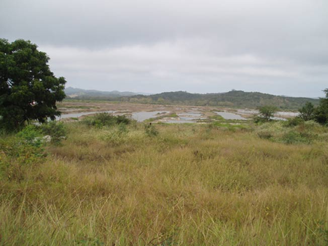 Abrir en nueva ventana