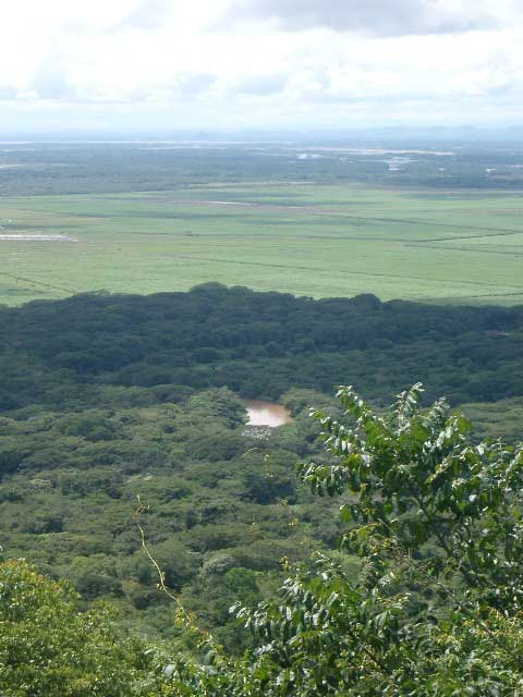pincha aquí 