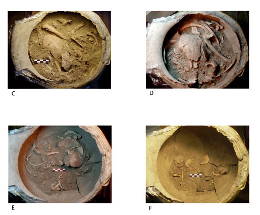 Abrir en nueva ventana
