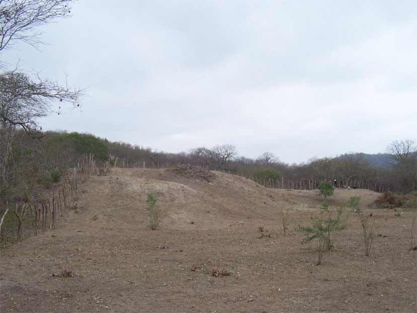 Abrir en nueva ventana