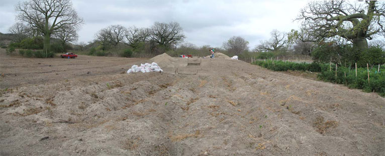 Abrir en nueva ventana